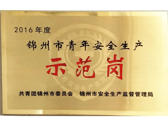 2016年度錦州市青年安全生產(chǎn)示范崗