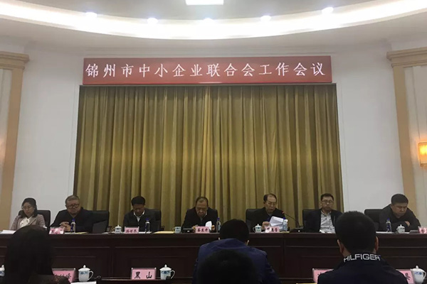 我公司參加全市中小企業(yè)聯(lián)合會工作會議并做發(fā)言